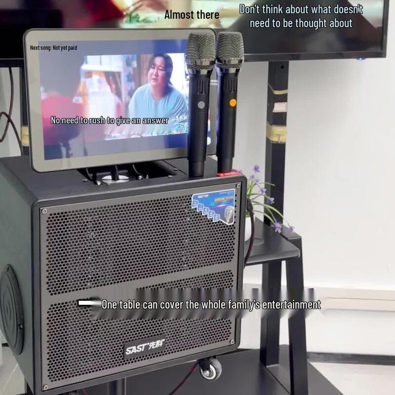 SAST SW-83 Outdoor KTV Speaker System (CN Version)