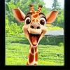 Funny Creative Cute Cartoon Giraffe Window Stickers, Self-Adhesive Decals for Glass Windows Home Decoration