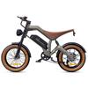 DYU M20 Retro Off-Road E-bike voor Volwassenen 750W Motor 48V 18.2Ah Batterij 20-inch Lekbestendige Banden Mechanische Remhendel met Afsnijding Max. Belasting 150kg