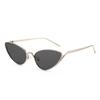 2026 Women's Trendy Cat Eye Sunglasses: European & American Street Style, Small Frame, Fashion Show Sun Protection