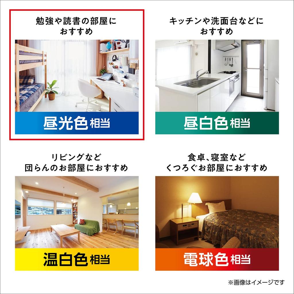 Panasonic LED Light Bulb Premier E26 Base Equivalent to 40 Type Light Pack of Equivalent to Daylight Color General Light Bulb Wide Light Distribution