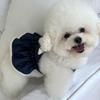 Hund Jeanskjol Vår Sommar Par Hundkläder Teddyklänning Valp Andningsbara Kläder med Rosett Pärlapplikation