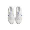 Nike Legend Essential 3 Next Nature 'Platinum Tint Court Blue' DM1120-013
