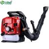 LiChen EB851 Gasoline Backpack Blower CN Plug (adapter Included)