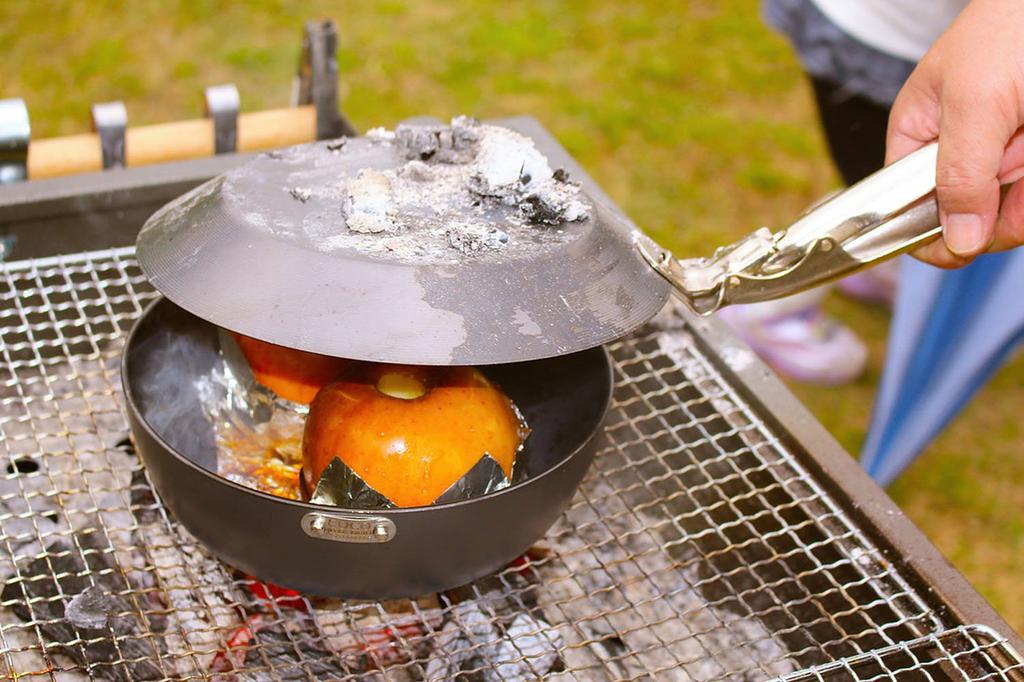 Iron Frying Pan Ultimate SONS Iron Pot 20cm COCOpan Compatible with IH Made in Japan C108-002