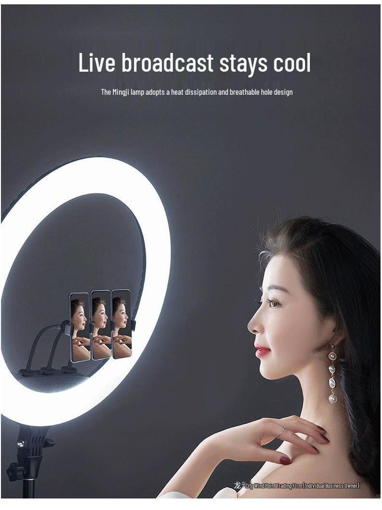 Universal Multi-Function Mobile Phone Stand with Beauty Fill Light for Live Streaming and Outdoor Use