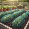 Insect-proof Plant Protection Netting Anti-frost Mesh Plant Cage Plant Protector  Raised Beds