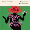 Rosa Mistika by Euphrase Kezilahabi Paperback Book 9780300276558