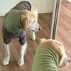 BARKDOG Winter Snood Fleece MTM M-6XL 2colors