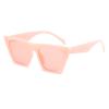 Superhot Eyewear 15234 Fashion 2021 Vintage Women Square Trendy Cateye Sunglasses