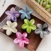 1/6pcs Rendering Frangipani Hair Clip for Woman Elegant Shark Clip Girls Ponytail Clip Hair Clamp Hair Accessories