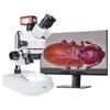 Dispozitive optice – Microscoape digitale