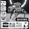 Educational Remote Control Robot Dog Toy for Kids DIY Assembled Walking Mechanical Dog Toy Gift for Kindergarten And Students