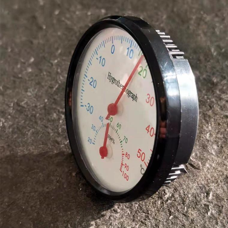 1PC Indoor Household Thermometer Pointer Climbing Pet Thermometer Mini Embedded Crawler Box Available