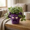 Humorous Face Funny Face Succulent Planter Quirky Face Desktop Flower Pot  Desk Room Decor