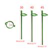 Plant Support Stakes with Adjustable Retaining Ring Green Plant Sticks Support Stakes for Indoor Outdoor Plant Flowers
