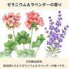 Large Capacity Pax Naturon Hand Cream Geranium Lavender 90g