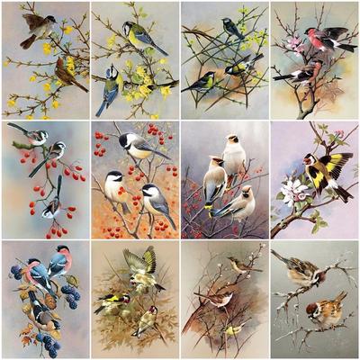 DIY Diamond Painting Bird 5D Full Square Round Picture of Rhinestone Cross Stitch Mosaic Diamond Animal Home Decoration
