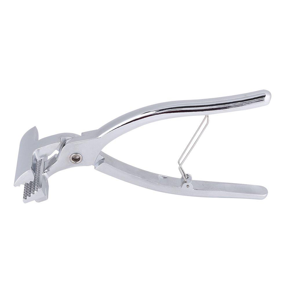 Professional Canvas Stretching Pliers for Oil Paintings, Alloy Clamp Canvas Framing Tool, Lokirif Canvas Stretching Pliers