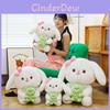 Cute Cartoon Bunny Plush Toy With Pp Cotton Filling For Kids Gift And Home Decor