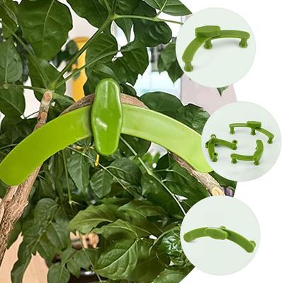 Garden Plant Branch Support Clips 5 Pieces Plant Stem Holders for Securing and Training Plants In Garden and Greenhouse Use