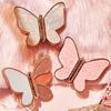 AGAG Lucky Koi Butterfly Eyeshadow Palette: 6 Earth Tone Colors in Pearl, Glitter, Shimmer, and Matte Finishes for Beginners