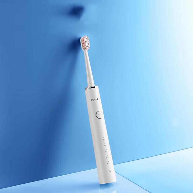 FLYCO FT7208 Sonic Rechargeable Electric Toothbrush