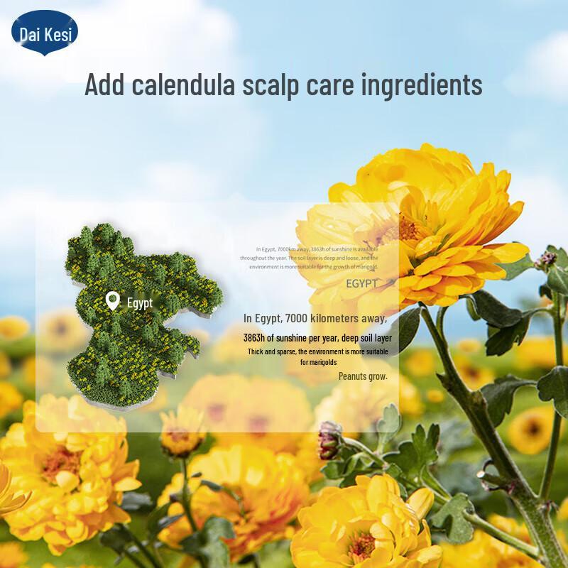 Dai Kesi Children's Calendula Amino Acid Shampoo