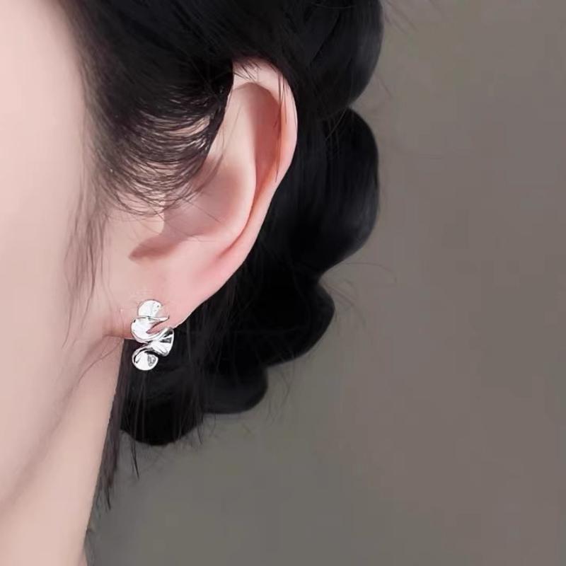 Design Irregular Earrings Female Light Luxury Vintage Personalized Minimalist Ladies Accessories Elegant Jewelry Cold Earrings Daily Earrings