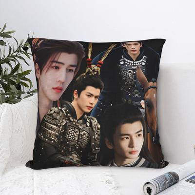Tv Series Pursuit Of Jade Xie Zheng Zhang Linghe Pillow Case Comfy Pillow Cover For Sofa Car Home Decor Fashion Pillowcases