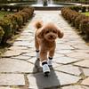 2 Pair Dog Socks Protective Thick Grip Dogs Feet Cover Socks with Adjustable Sticker for Outdoor Prevents Sliding