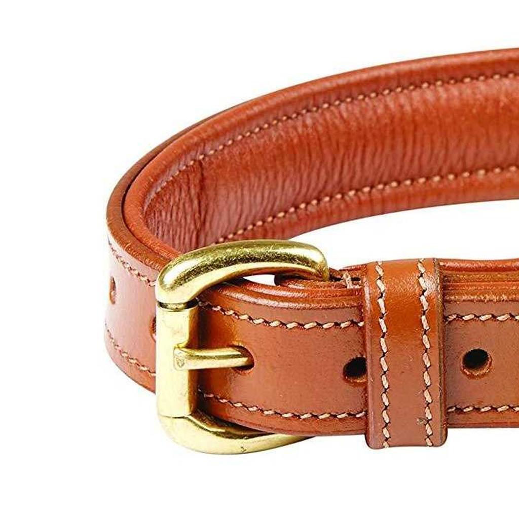 Weatherbeeta Gepolstertes Hundehalsband aus Leder