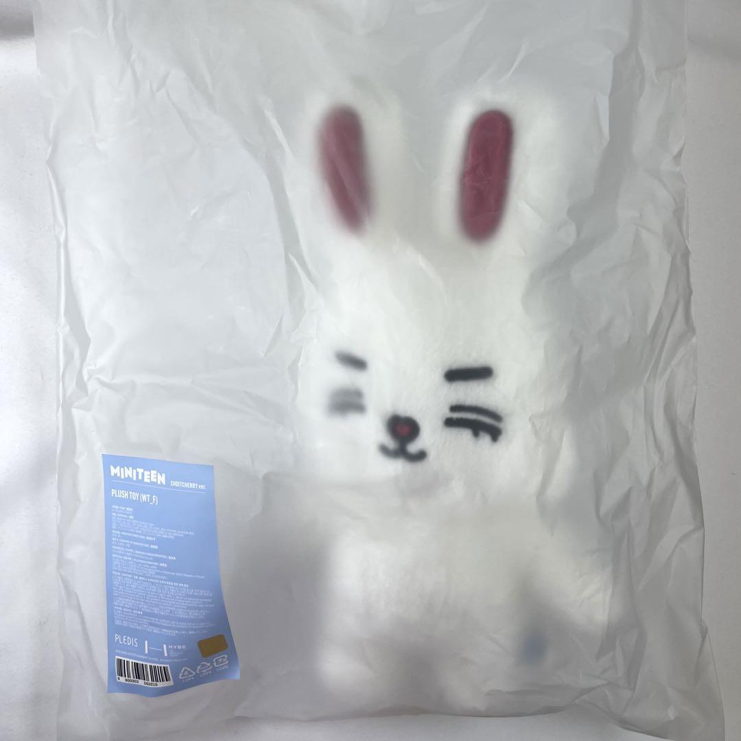 

[USED] SEVENTEEN MINITEEN Pop-up S.Coups Plush Toy