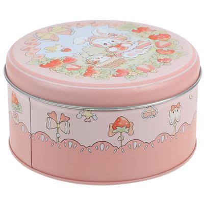 Bunny Cookie Jar Tin Packing Box Sugar Canister Tinplate Decorative Storage Boxes