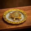 Metal Feng Shui Golden Tortoise (Kachua) On Glass Plate | Turtle for Good Luck for Home | Vastu Decoration