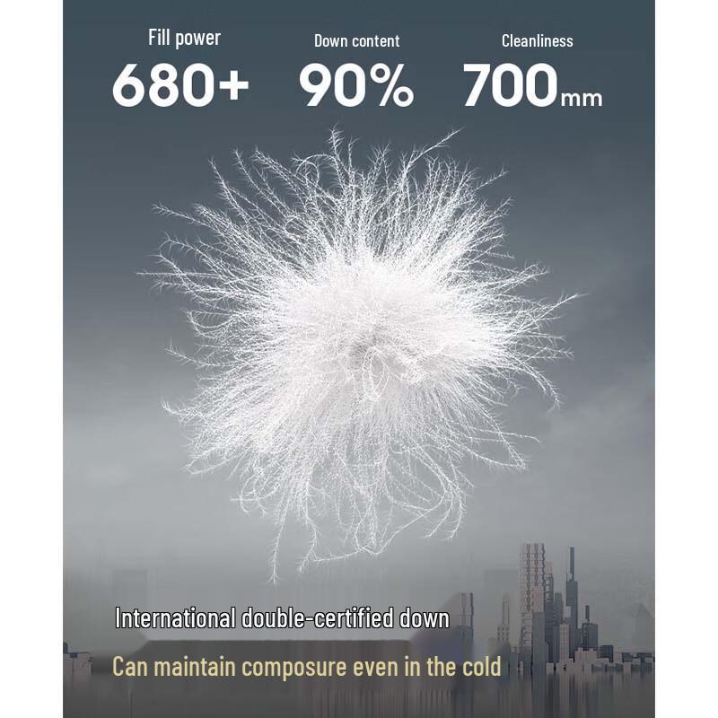 Bosideng Men's Loose Fit Stand Collar Duck Down Jacket B250245261