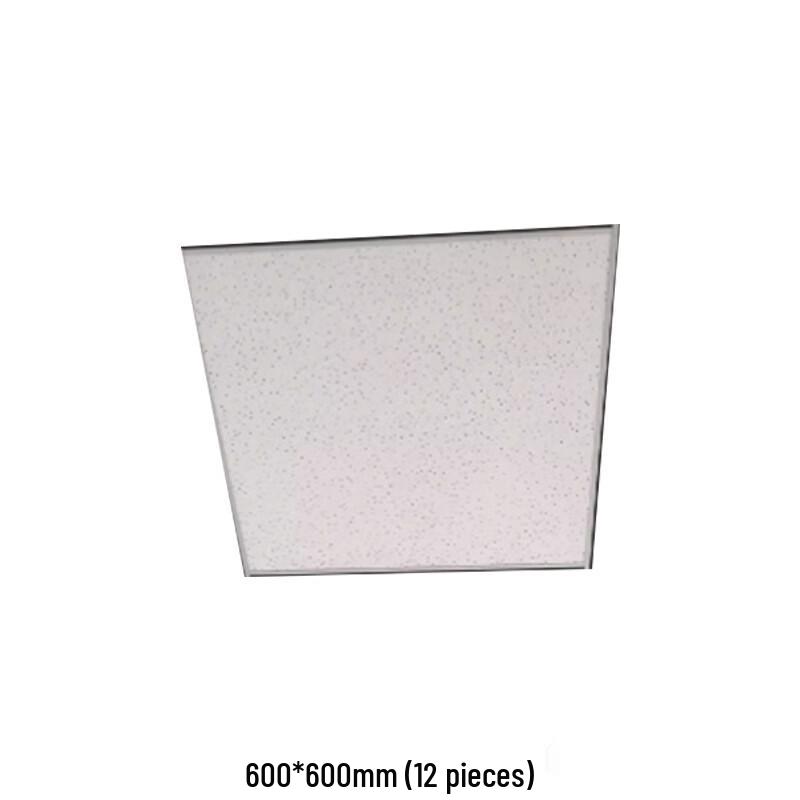 WMN Plastic Ceiling Panel