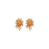 Silver Needle Zircon Irregular Fireworks Earrings European and American Exaggerated Design Stud Earrings Niche Fashion Temperament Earrings