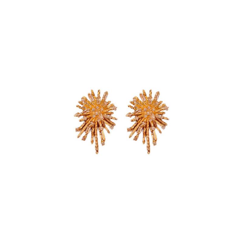 Silver Needle Zircon Irregular Fireworks Earrings European and American Exaggerated Design Stud Earrings Niche Fashion Temperament Earrings
