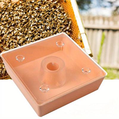 1pc Square Bee Feeder Waterer Food Feeding Tools Beekeeping Equippment Supplies Forest Beekeeping Supply