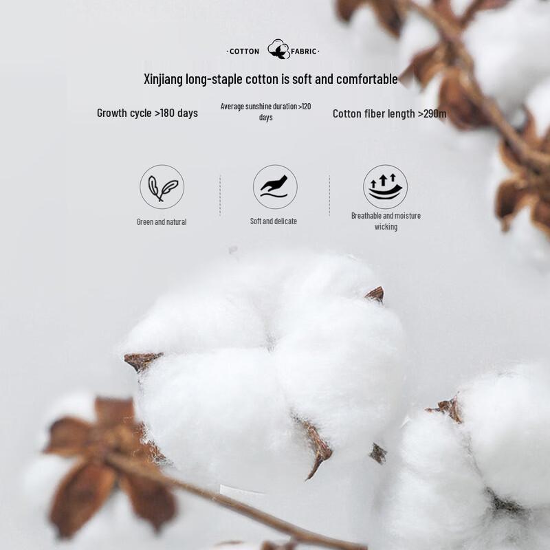 Shanshan Men's Straight Leg Casual Business Pants