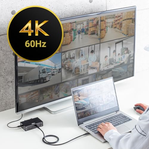 Sanwa Supply USB 20Gbps Type-C Cable (Single Screw Lock, 240W, 2m) KU-20GCCPESSL20