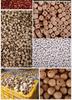 Eco-Friendly Solid Wood Colorful Beads – Natural and Mixed Hues