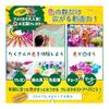 Crayola Colored Pencils, 12 Count, Vibrant Colors, Thick & Soft Lead, Break-Resistant, Made with Recycled Wood