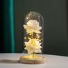 Eternal Red Rose Luxurious Gold Foil Flower LED Glass Dome Beautifully Packaged Forever For Home Decoration Anniversary Gift