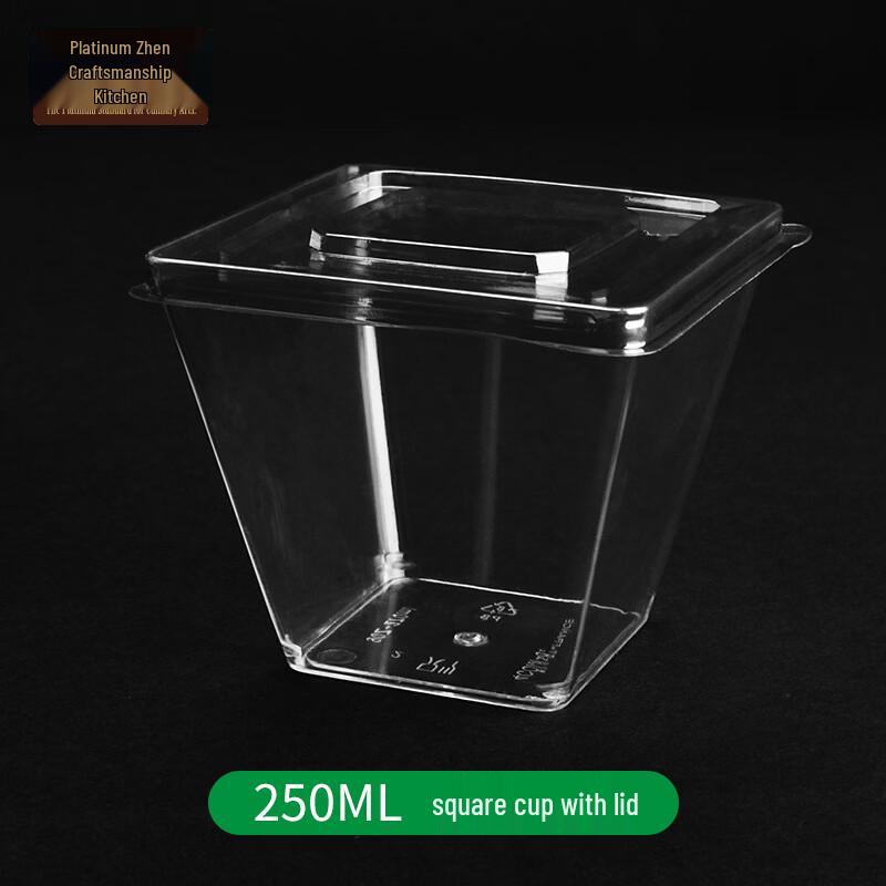 250ML Disposable Square Plastic Dessert Cups with Lids