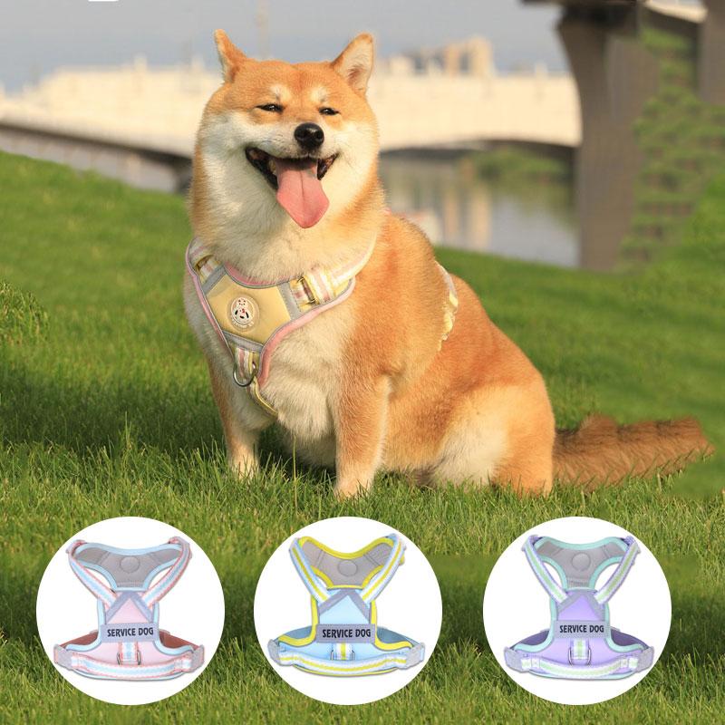 New Reflective Dog Harness, Dog Harness with Customizable Name and ID, Cute Style Pet Leash, Explosion-proof Dog Collar