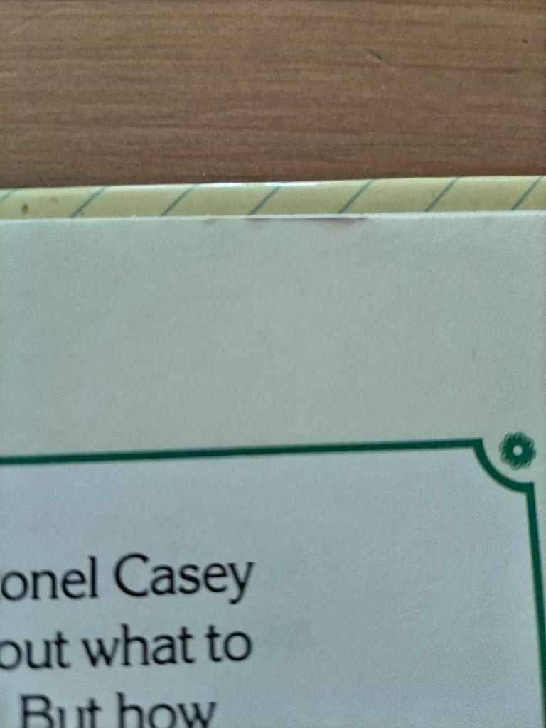 [USED] Cabbage Patch Kids The Great Rescue English Picture Book