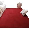 Tappeto Antiscivolo in Pile di Corallo Monocolore - Tappeto Morbido a Pelo Corto per Camera da Letto e Soggiorno