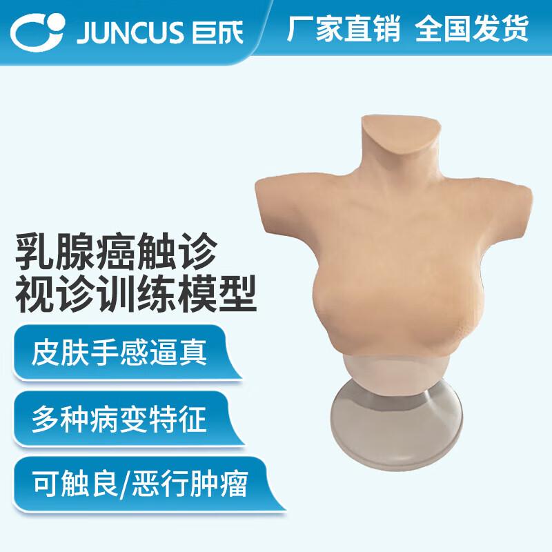 Breast Cancer Palpation and Visual Examination Training Model